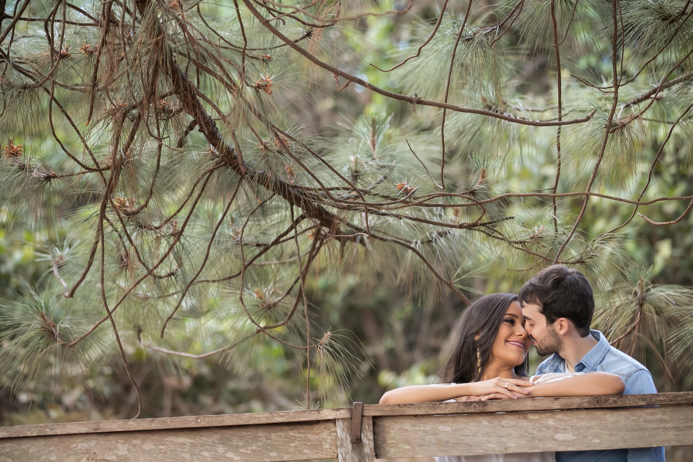 Foto de Rog&eacute;rio Lopes Fotografia 5