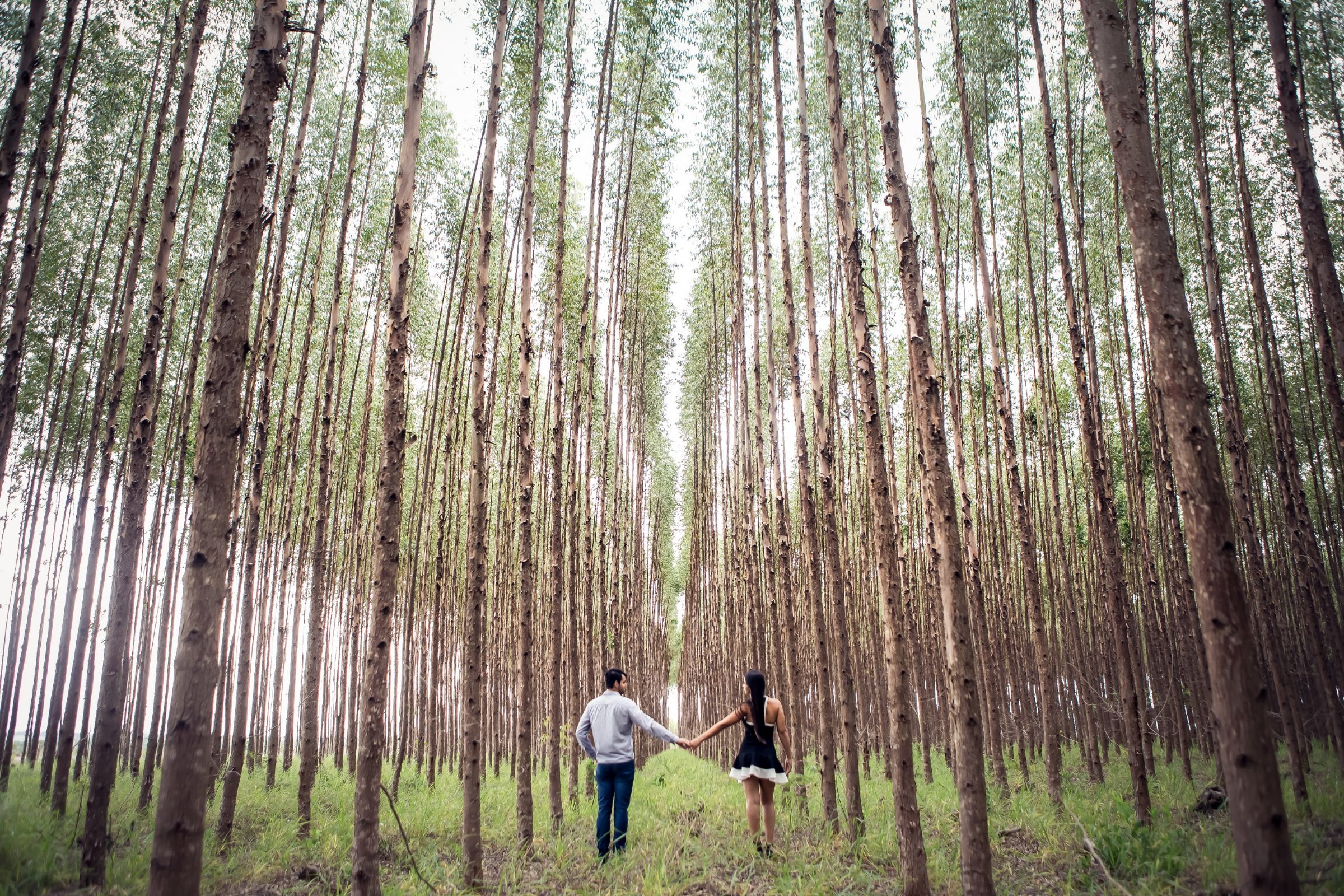 Foto de Rog&eacute;rio Lopes Fotografia 19