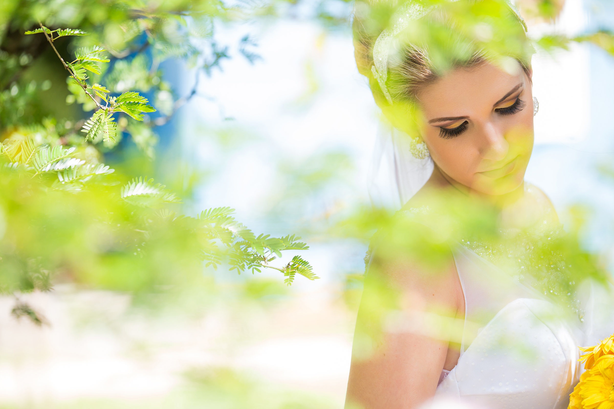 Foto de Rog&eacute;rio Lopes Fotografia 10